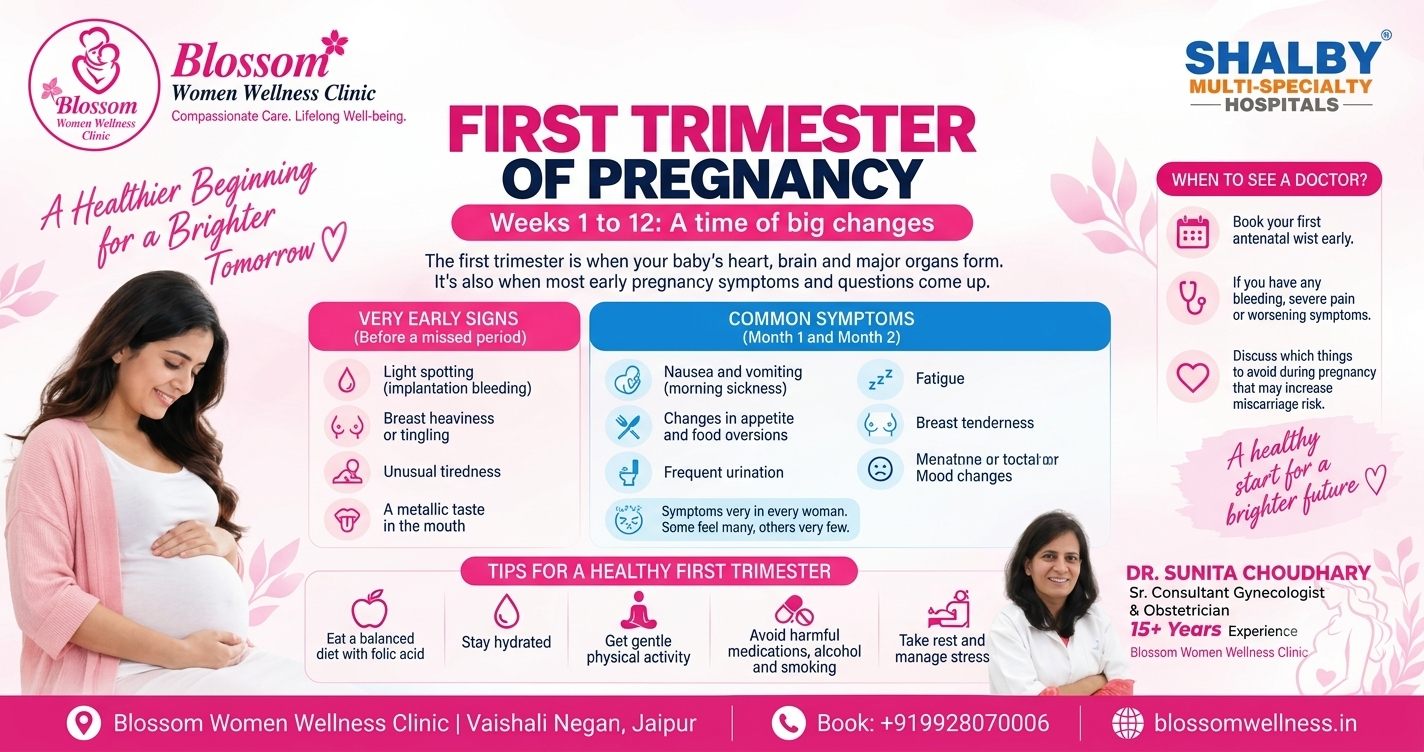 First Trimester of Pregnancy: Weeks 1 to 12 Explained